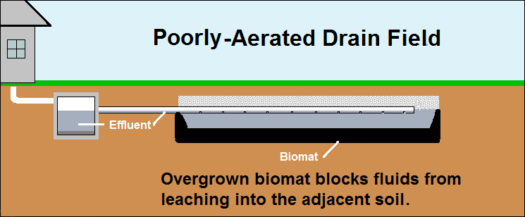 Septic-Sketch-2-of-5