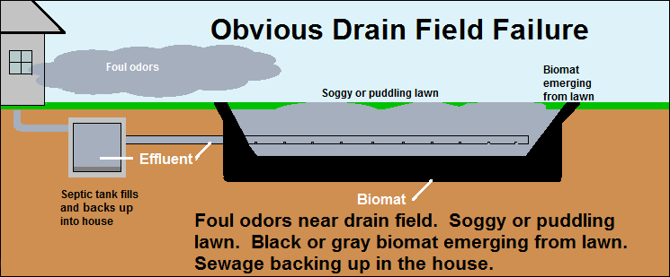 Septic-Sketch-3-of-51