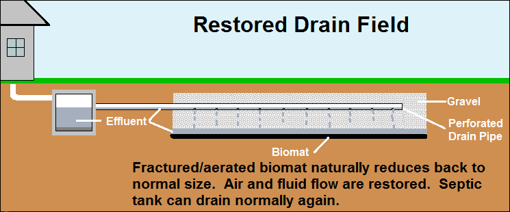 Septic-Sketch-5-of-5
